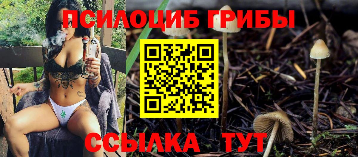 Псилоцибиновые грибы Psilocybine cubensis  Вход с VPN  Псилоцибиновые грибы Cubensis  Волжский 